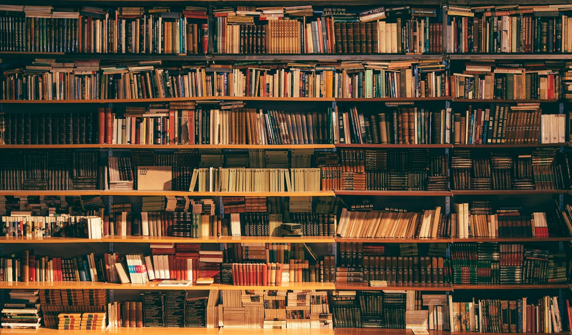 Floor-to-ceiling shelves in a private library