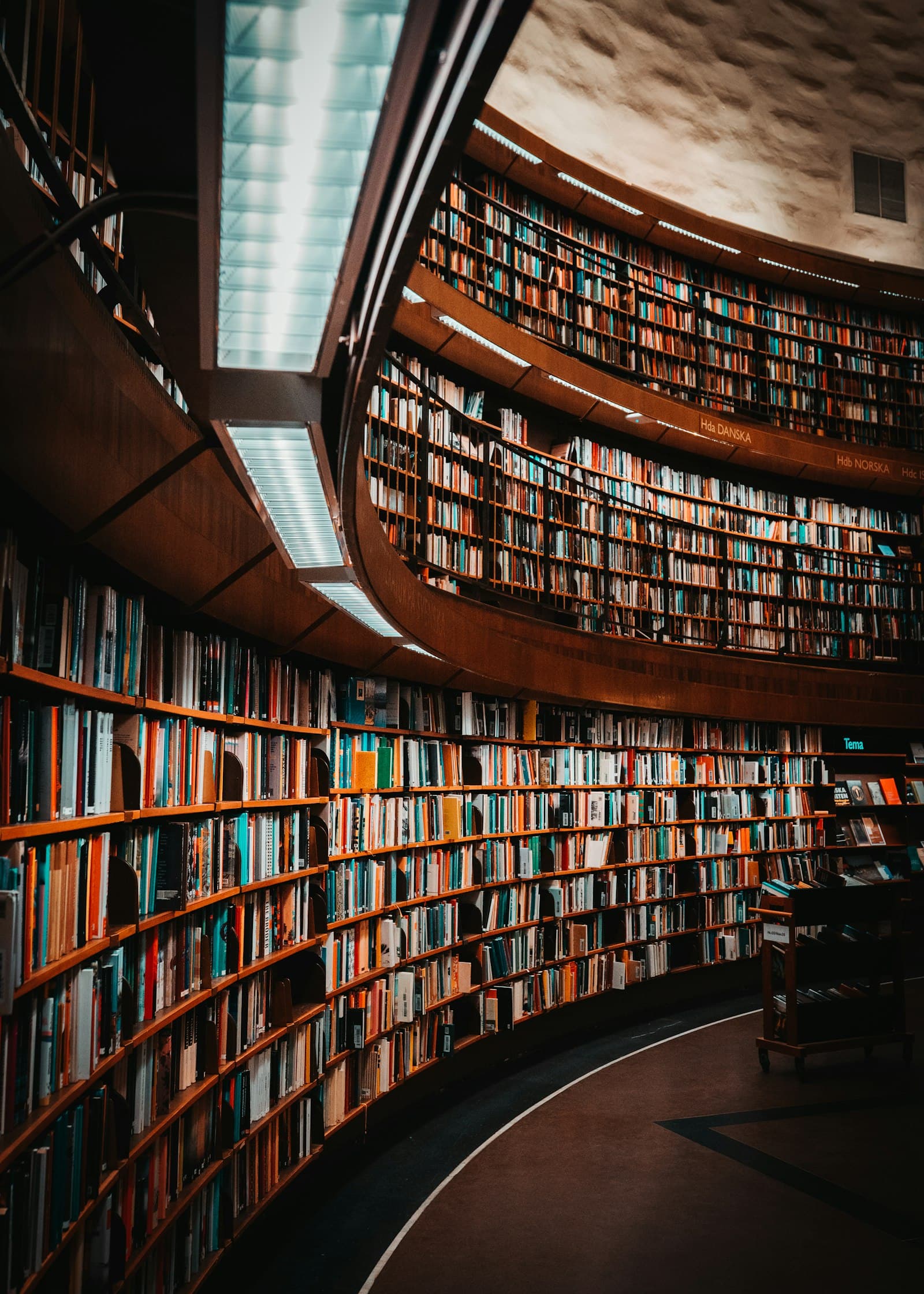 Circular library galleries under a lit dome
