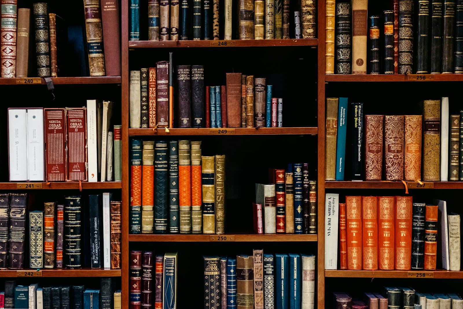 Catalogued library stacks